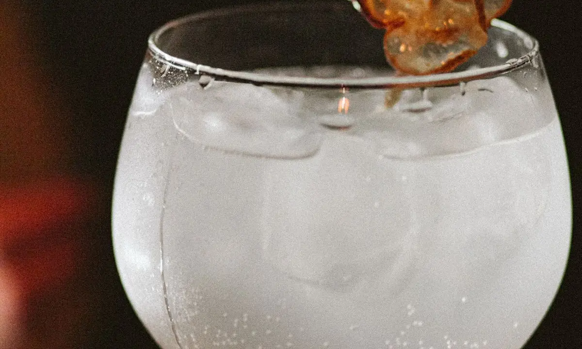 Gin and tonic with ice and a dried citrus garnish